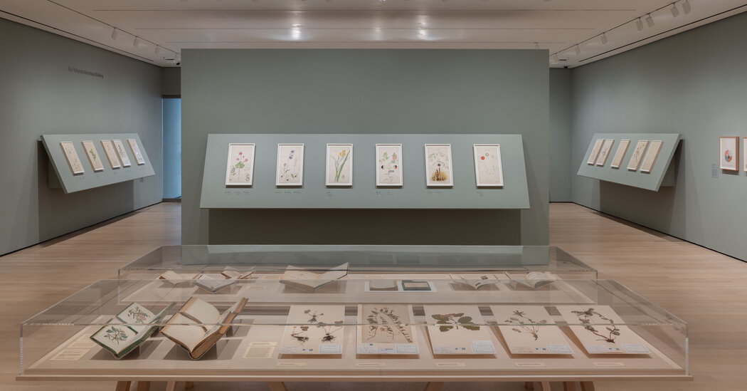 In Her Botanical Paintings, Hilma af Klint Hurtles Back to Earth