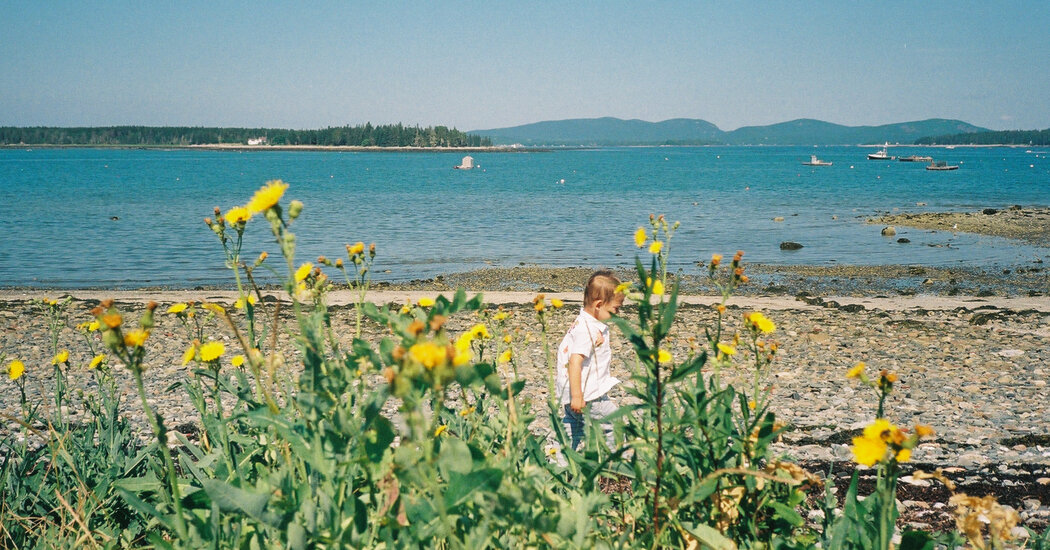 The Road Trips That Changed Their Lives