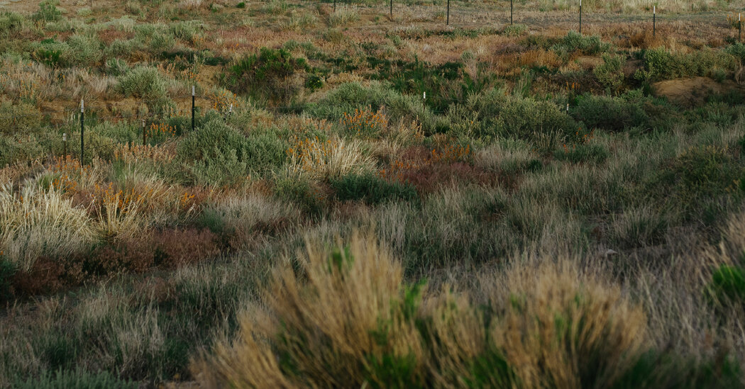 This Land Was Your Land, This Land Was My Land. Now It’s for Sale.