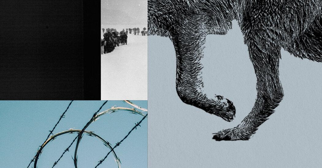 When Politics, Borders and Wolves Collide